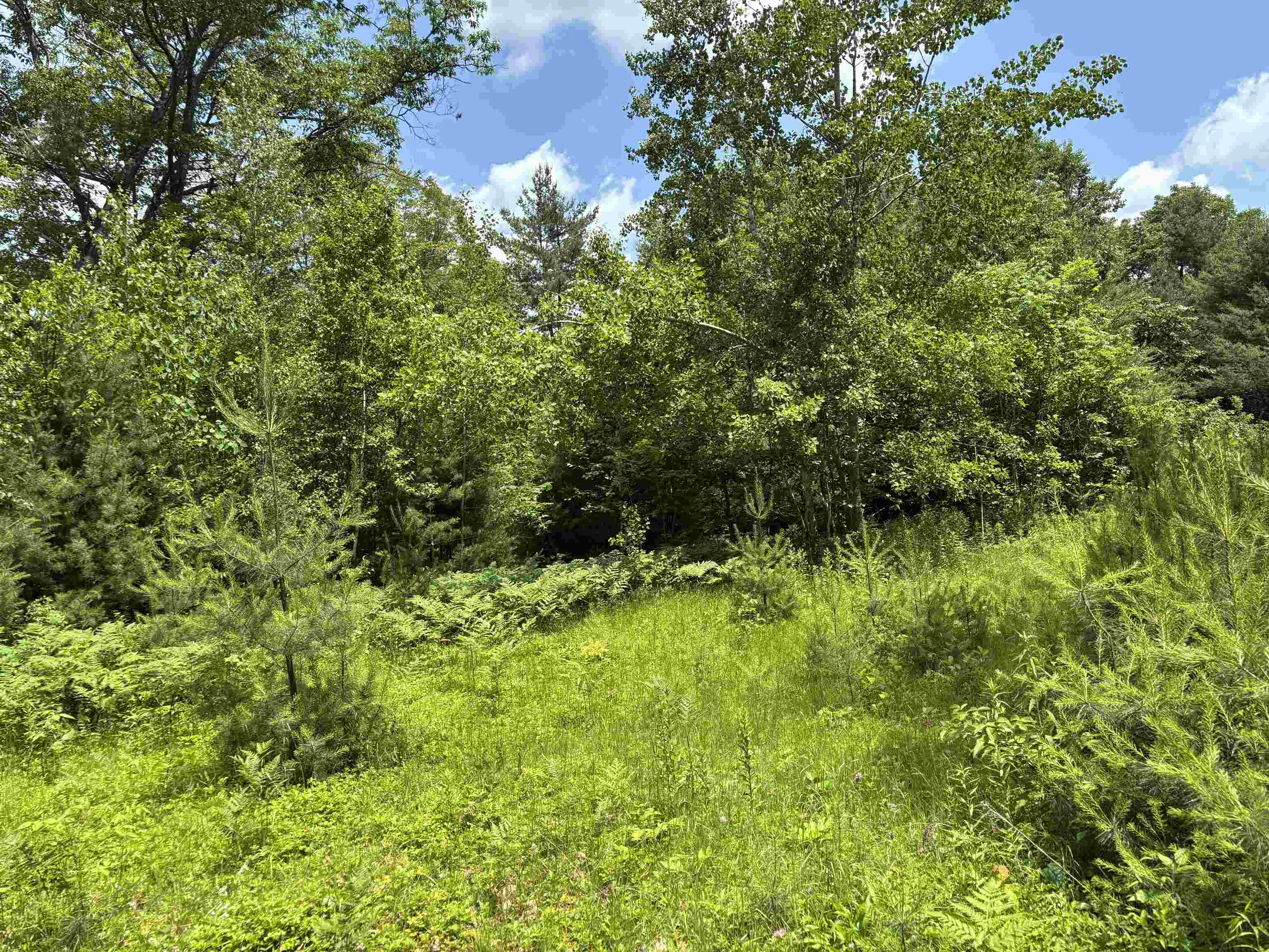 0 Simonsville Road, Unit LOT 3 Andover, VT 05143 - Photo 8 of 23