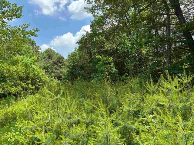 $80,000 | 0 Simonsville Road, Unit LOT 3, Andover, VT 05143