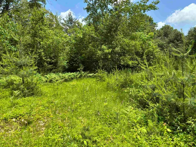 $80,000 | 0 Simonsville Road, Unit LOT 3, Andover, VT 05143