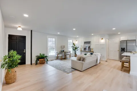 a living room with furniture and a potted plant