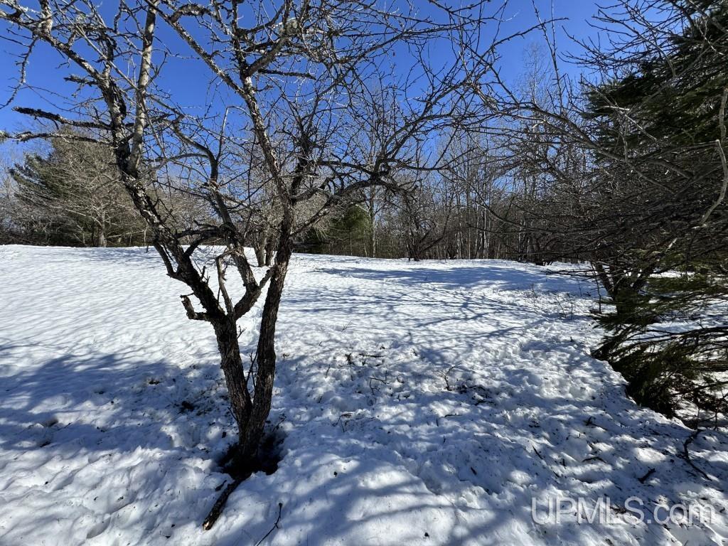 Tbd Bellaire Road Baraga, MI 49908 - Photo 6 of 20