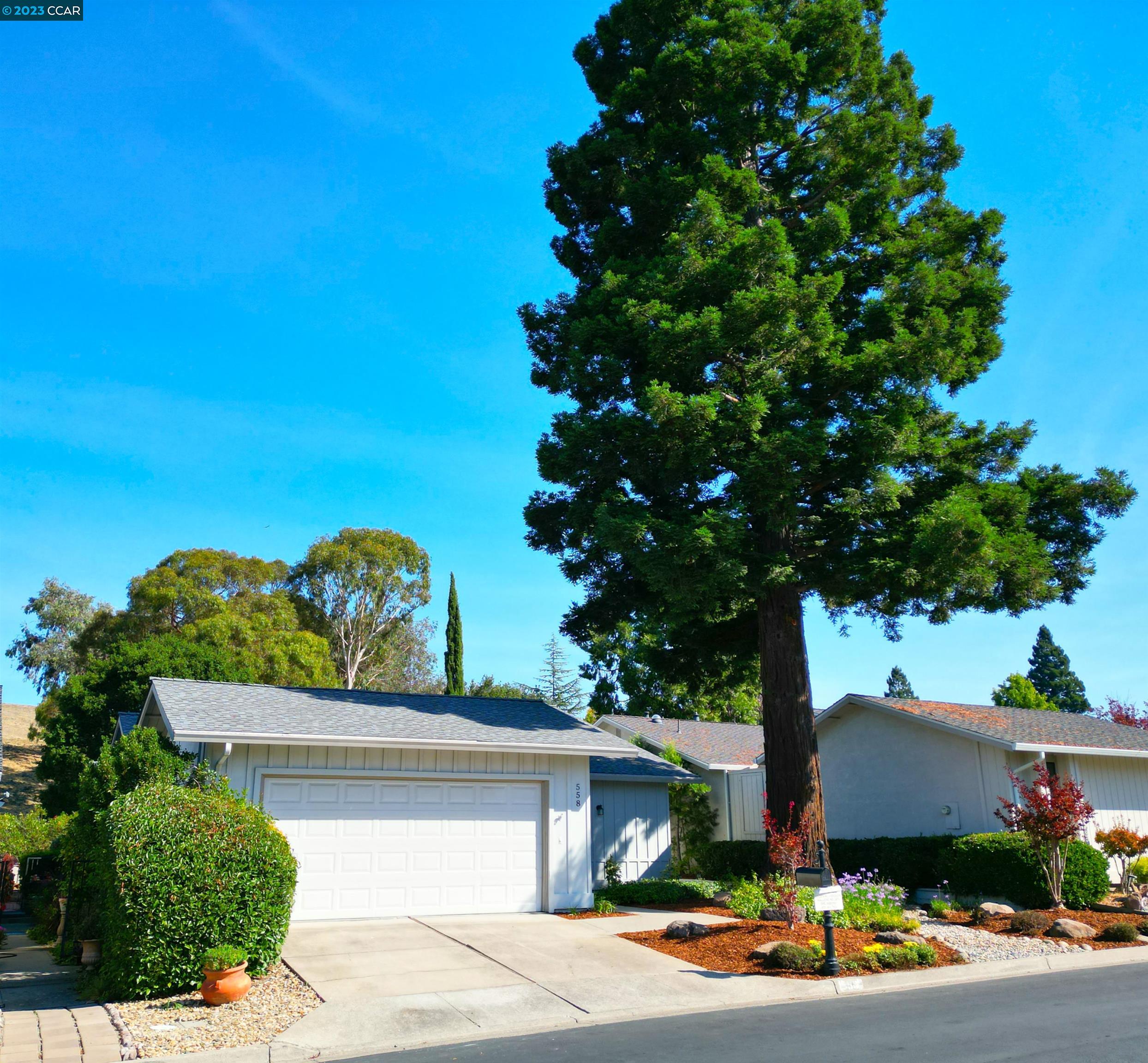 558 St George Road Danville, CA 94526 - Photo 1 of 1 a front view of a house with a yard and a garage