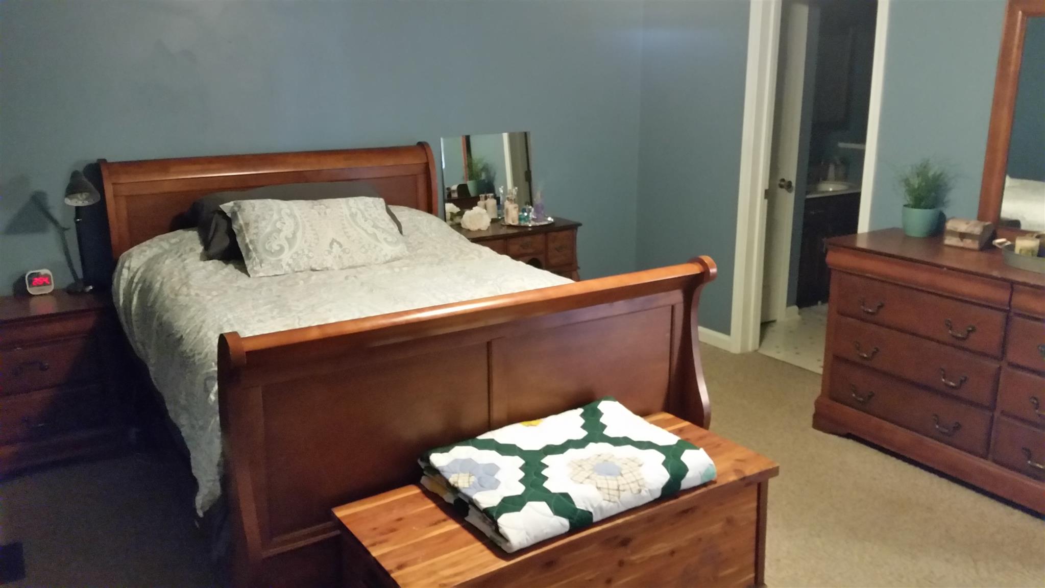 3718 Dobbin Road Springfield, TN 37172 - Photo 12 of 22 a bedroom with a bed and a dresser