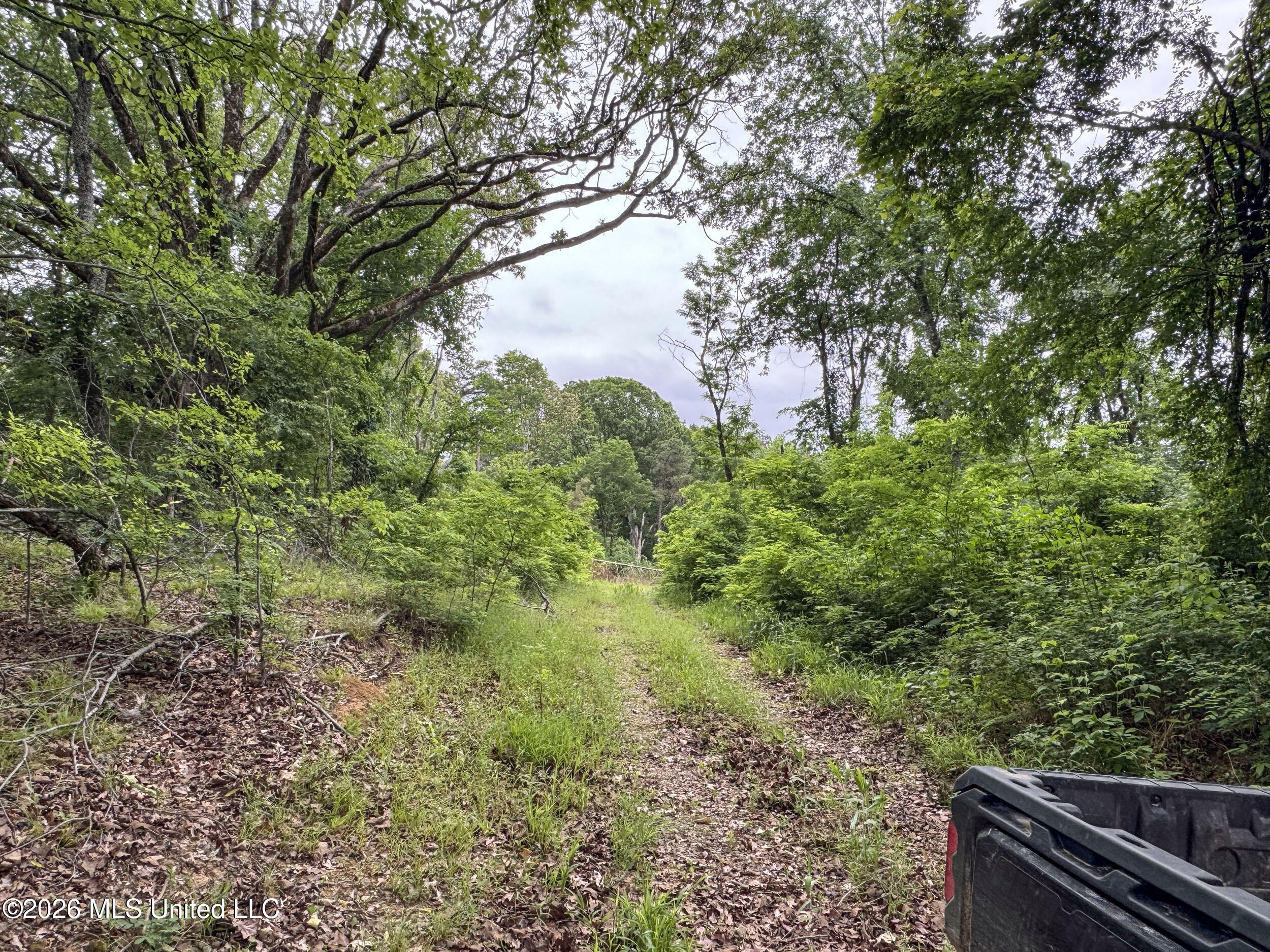 Wayne Massie Road Como, MS 38619 - Photo 168 of 184 5cdtbs117