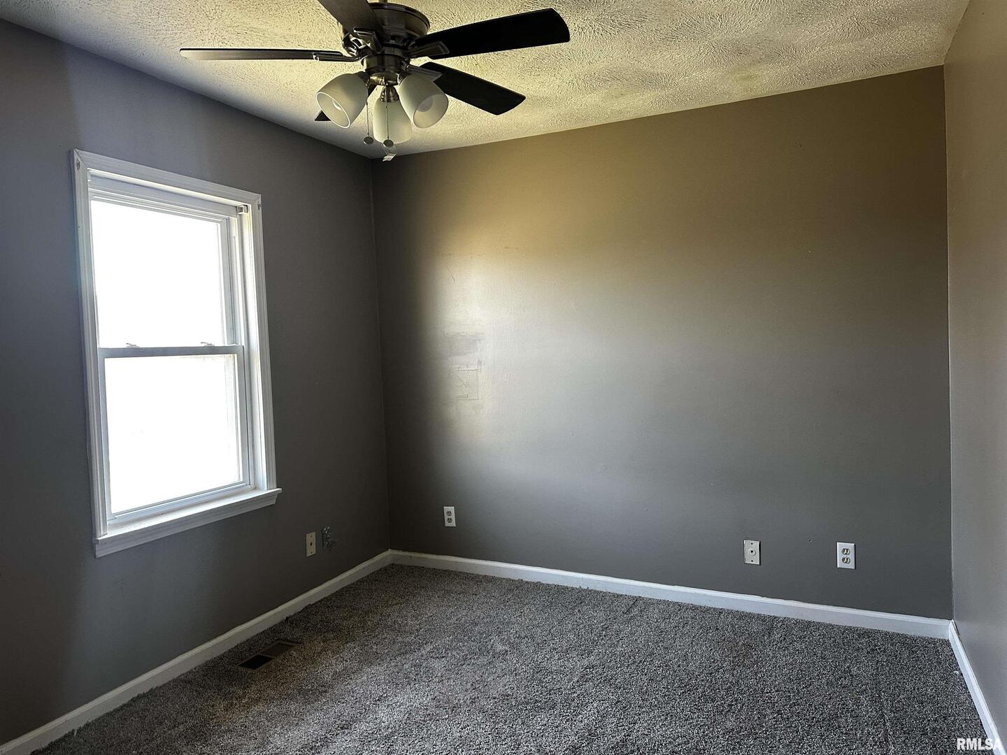 1102 Bailey Lane Benton, IL 62812 - Photo 19 of 21