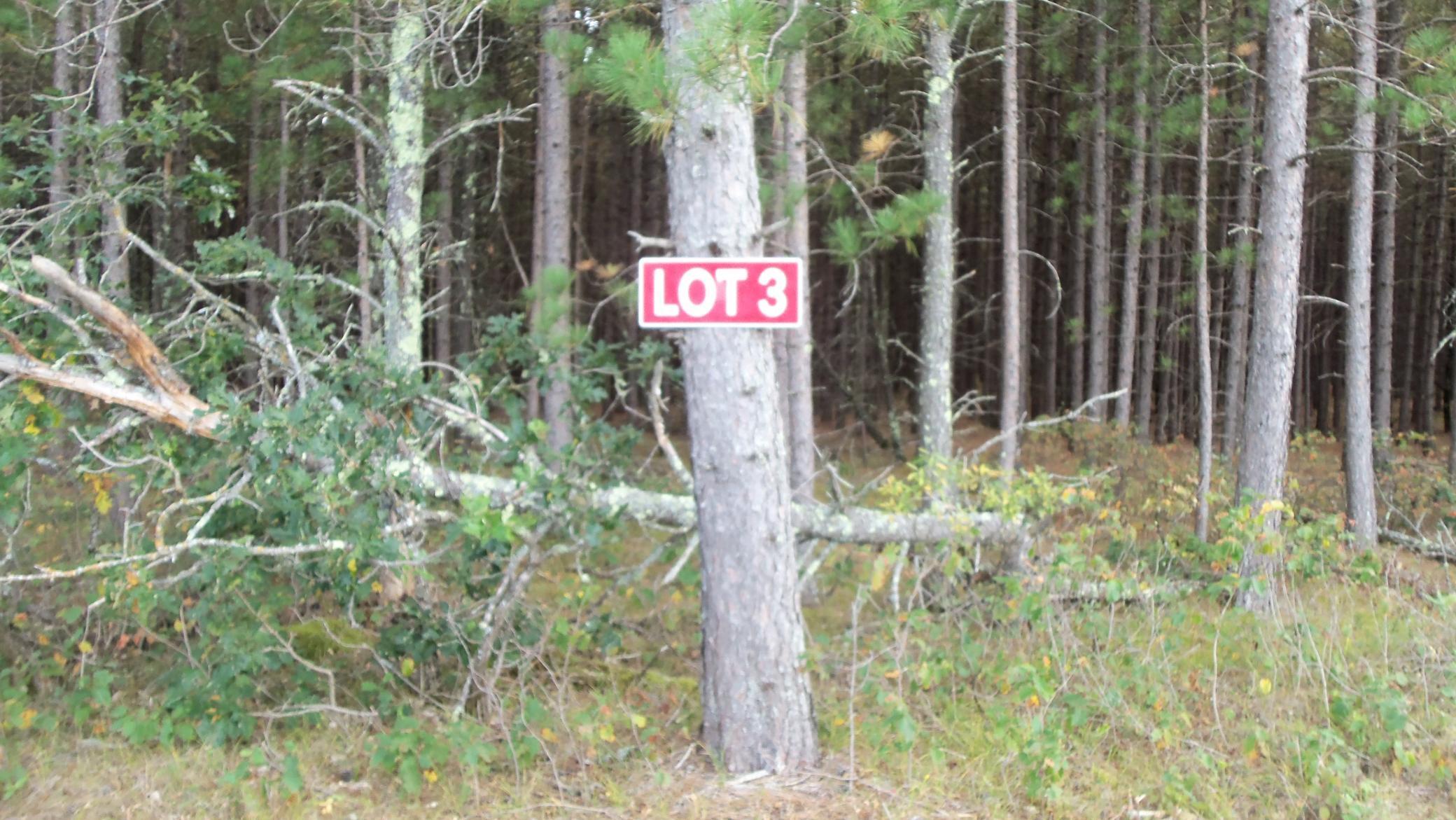 Lot 3 Big Sand Lake Road Minong, WI 54859 - Photo 1 of 1 Gallery Image 1