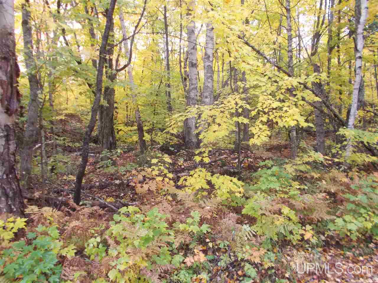 640-acres Peshekee Grade Road Skanee, MI 49946 - Photo 11 of 37
