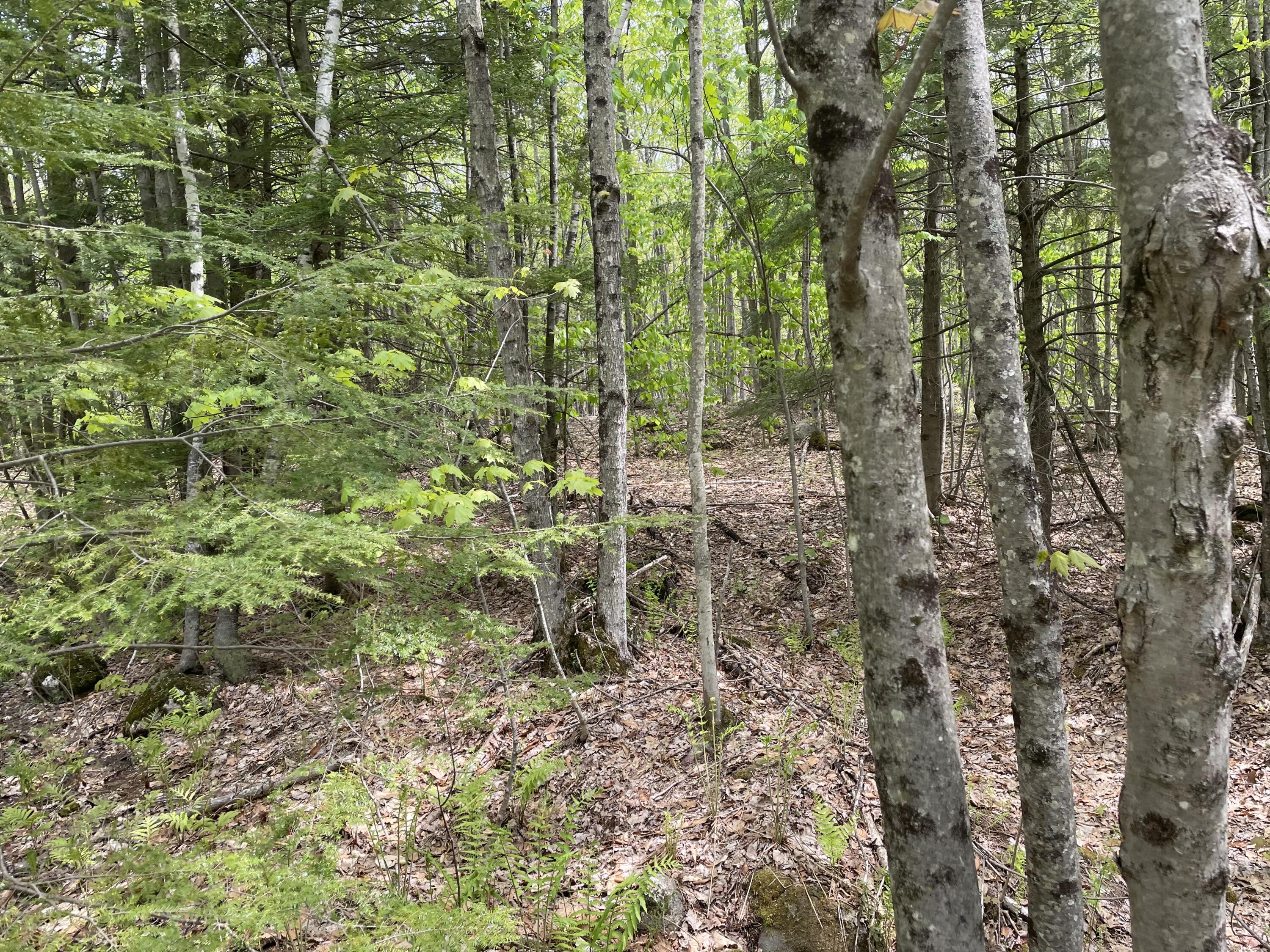6.1 Scammon Road Phillips, ME 04966 - Photo 2 of 6 IMG_3009