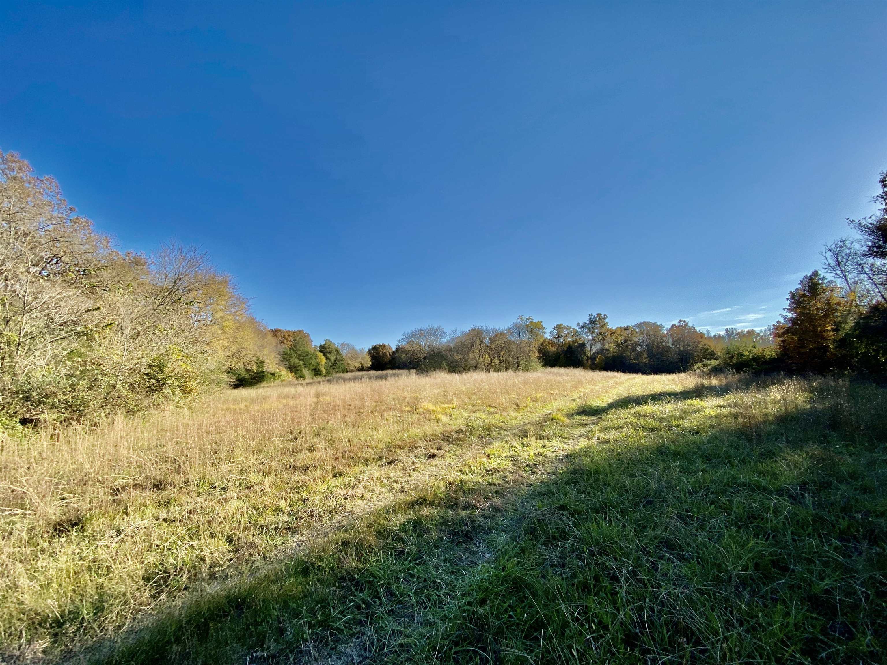 8.19 Price Road Moscow, TN 38057 - Photo 3 of 9 Gallery Image 3