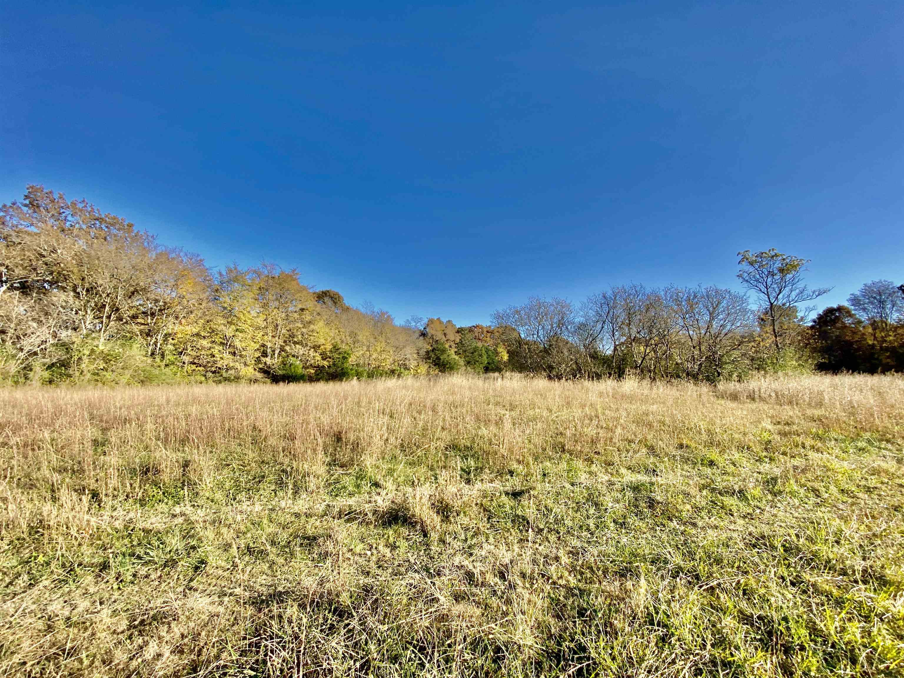 8.19 Price Road Moscow, TN 38057 - Photo 4 of 9 Gallery Image 4