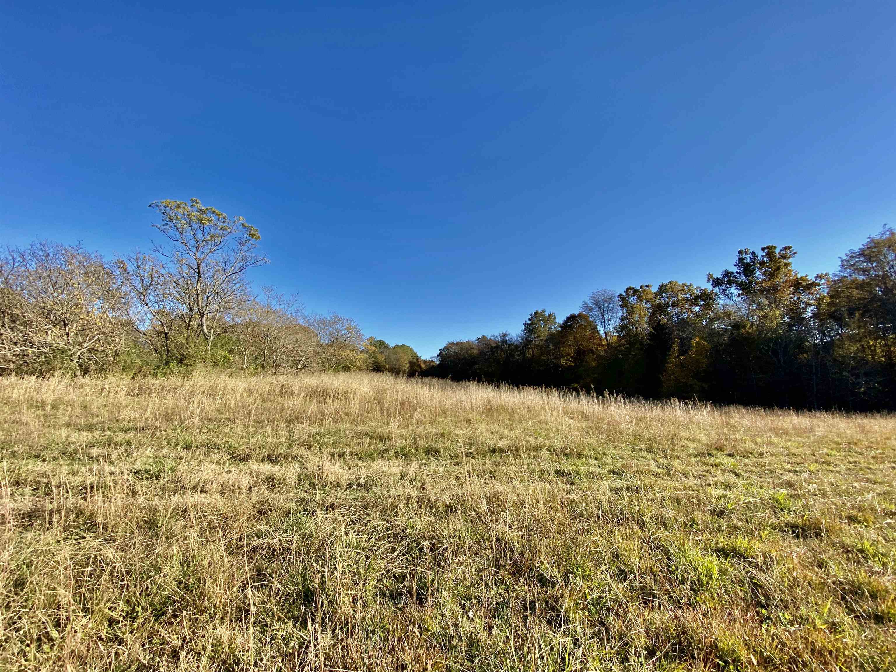 8.19 Price Road Moscow, TN 38057 - Photo 6 of 9 Gallery Image 6
