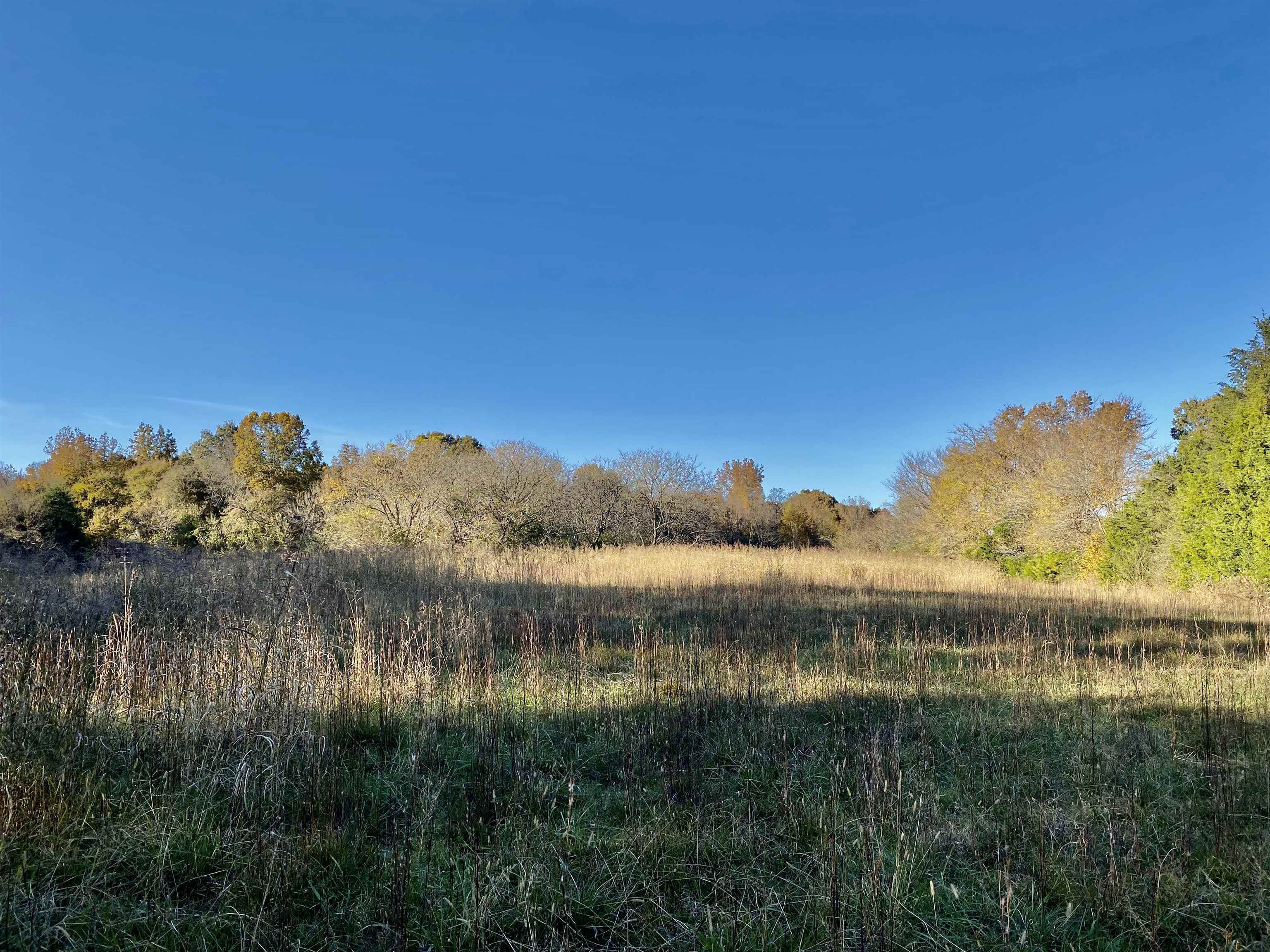 8.19 Price Road Moscow, TN 38057 - Photo 8 of 9 Gallery Image 8
