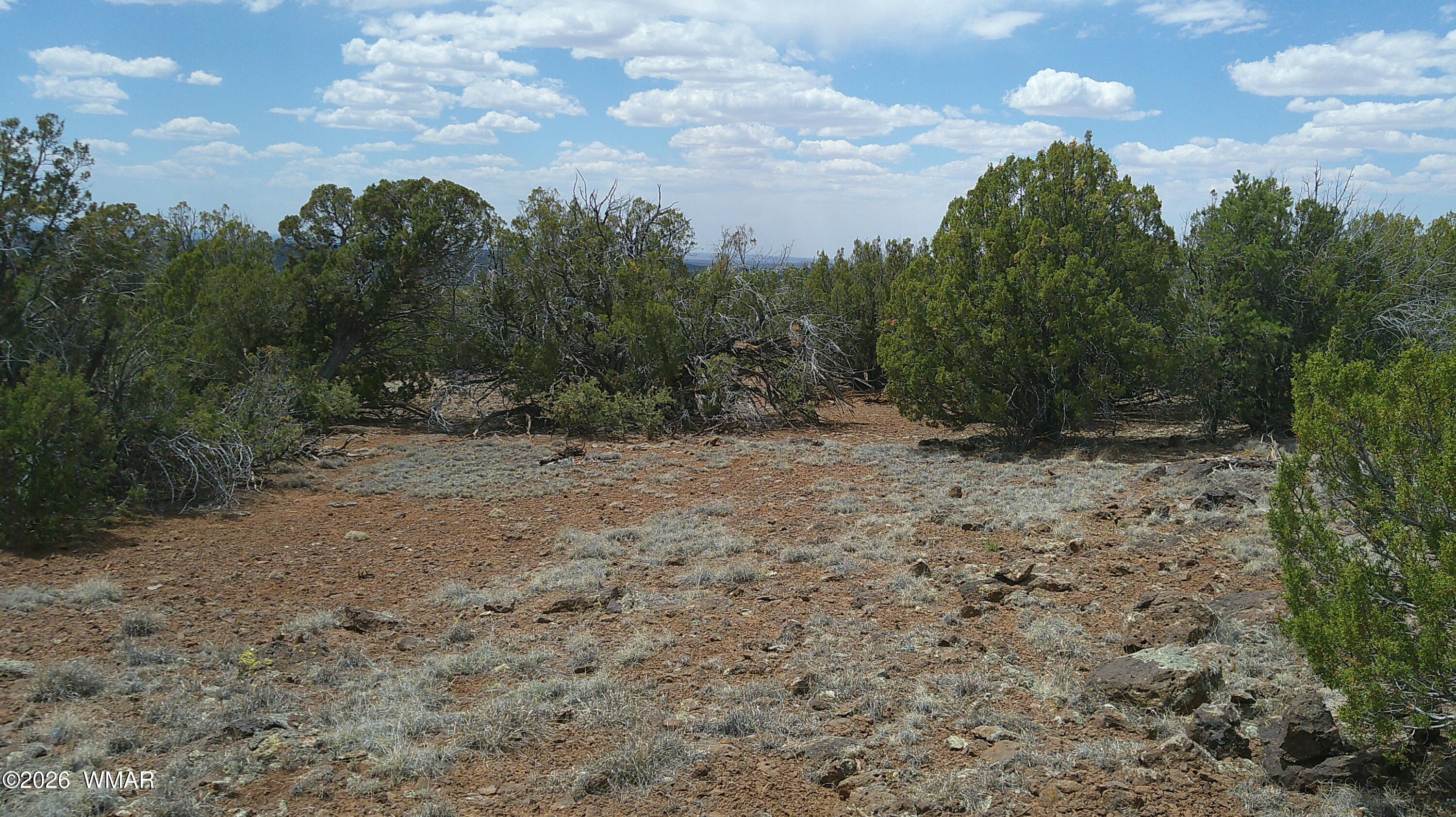 74 Co Road Concho, AZ 85924 - Photo 8 of 11 DSCF0006