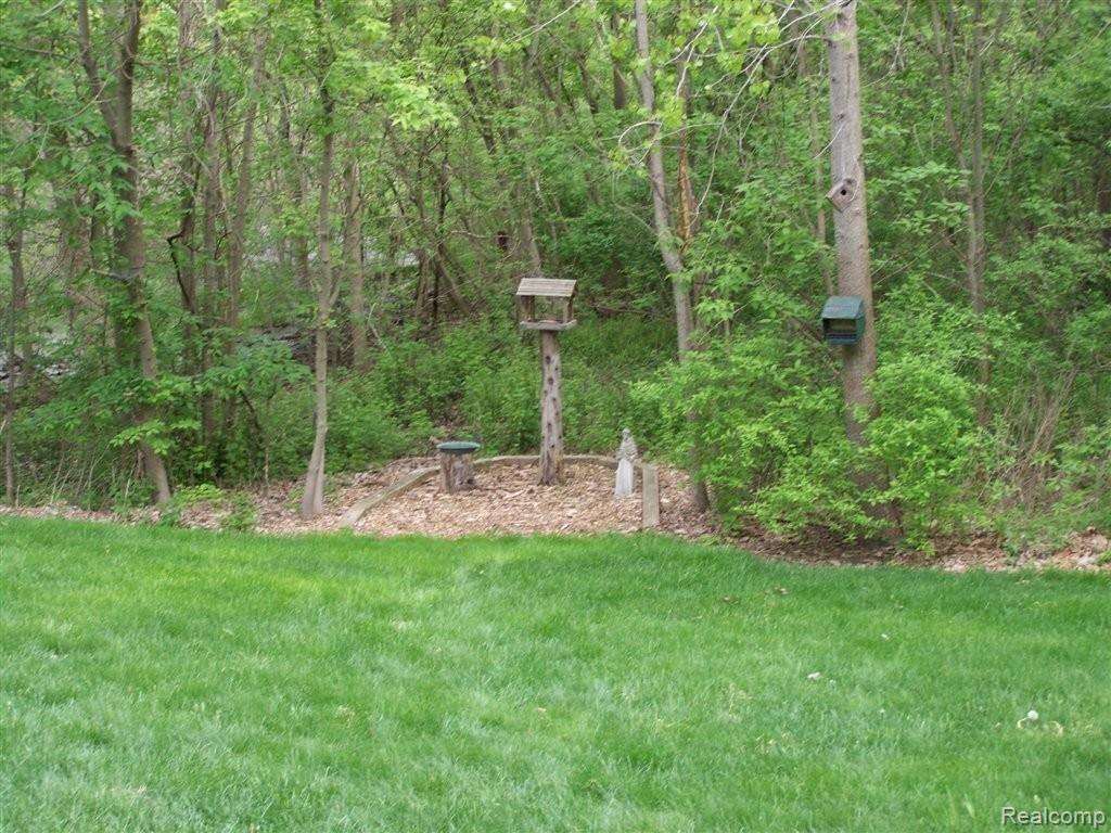 7662 Buckell Lake Road Holly, MI 48442 - Photo 14 of 15 Buckell Serene Yard.jpg
