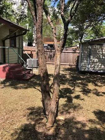 a backyard of a house with lots of green space