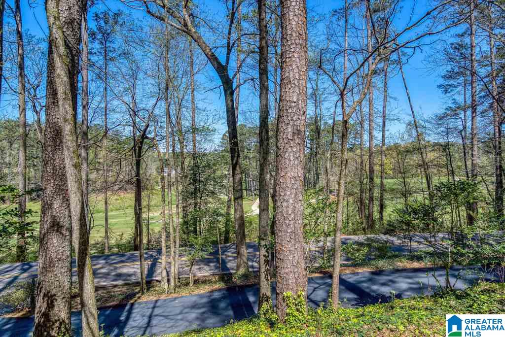 3415 Cherokee Road Birmingham, AL 35223 - Photo 46 of 50