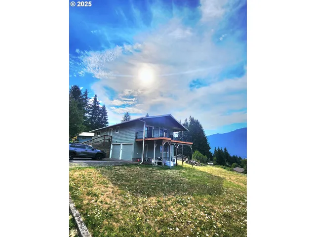 a view of a big yard with large trees