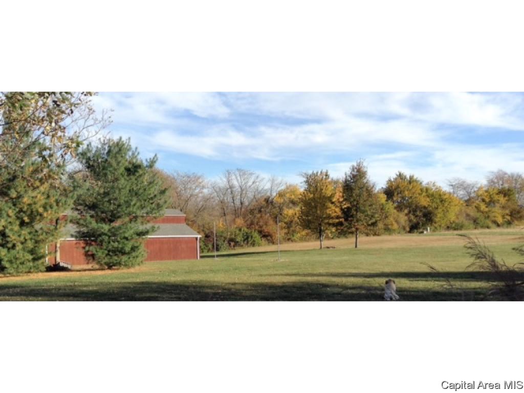 6260 Mottar Road Rochester, IL 62563 - Photo 2 of 4