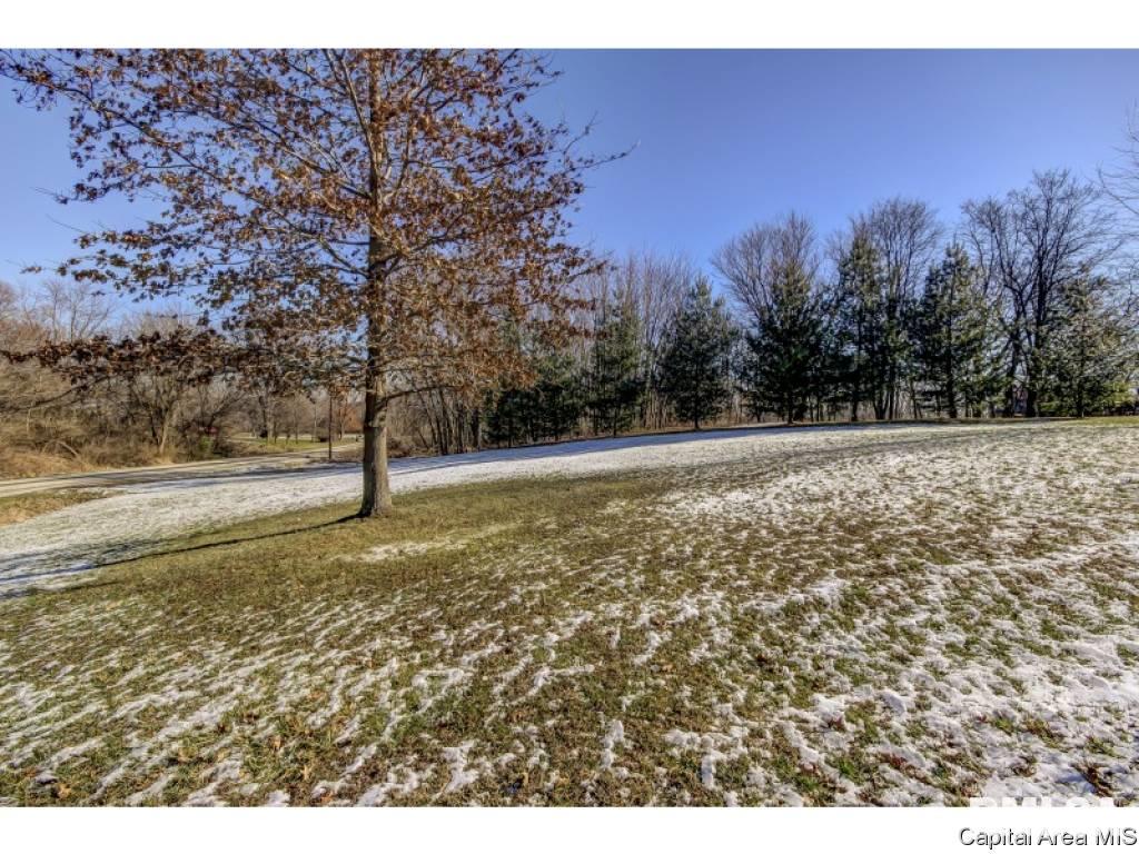 6260 Mottar Road Rochester, IL 62563 - Photo 3 of 4