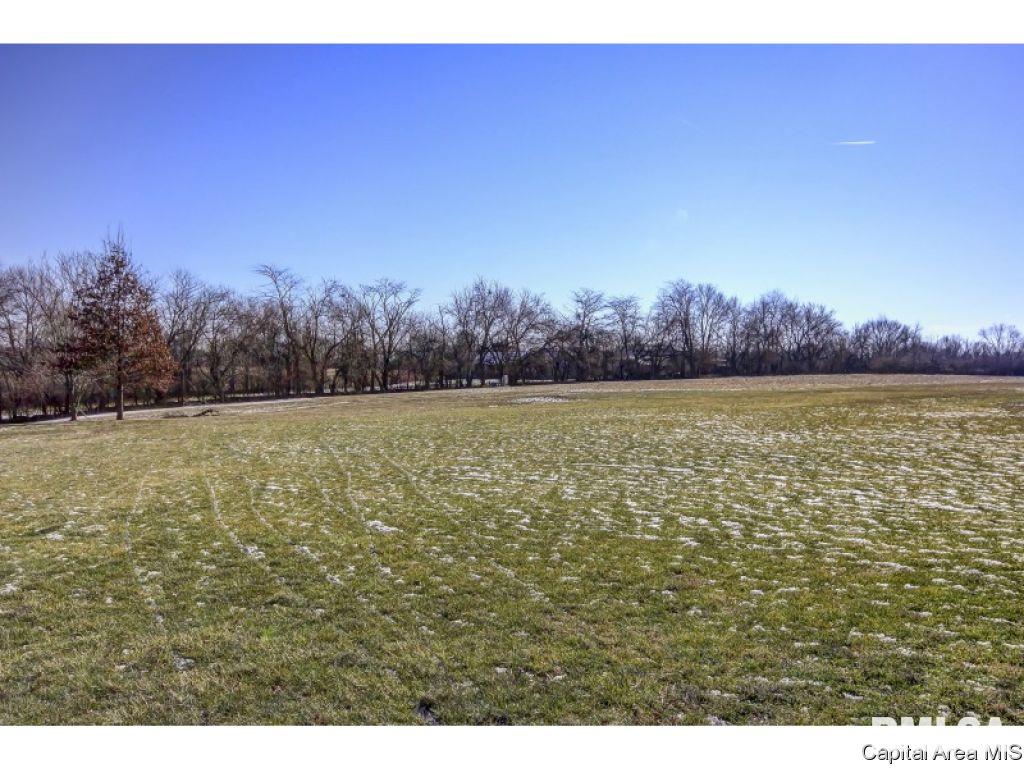 6260 Mottar Road Rochester, IL 62563 - Photo 4 of 4