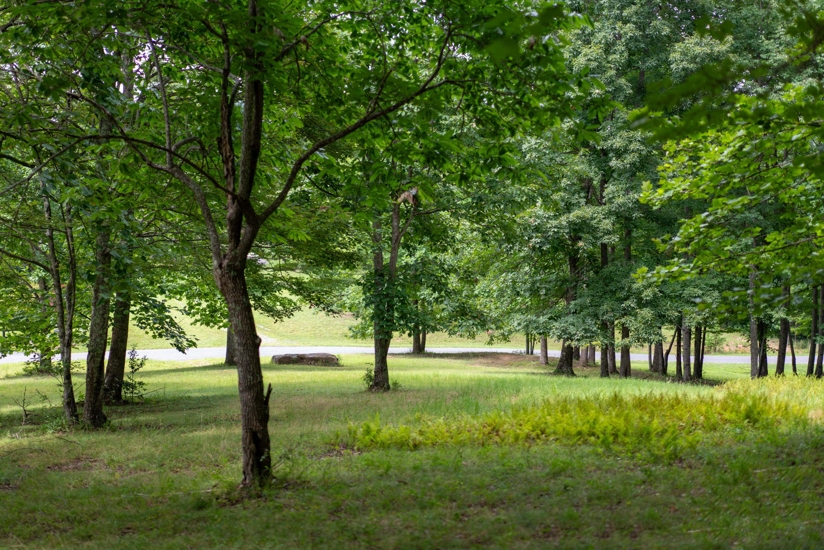 243 Roaring Creek Road Dunlap, TN 37327 - Photo 17 of 27 _DSC2453-Edit