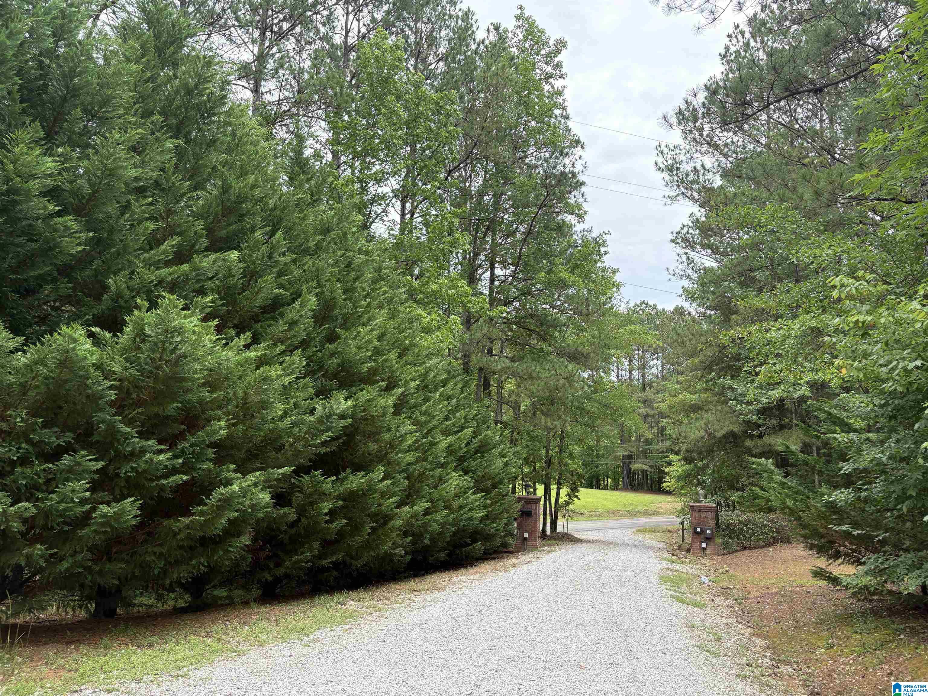1322 Mitchellville Road Ohatchee, AL 36271 - Photo 47 of 51