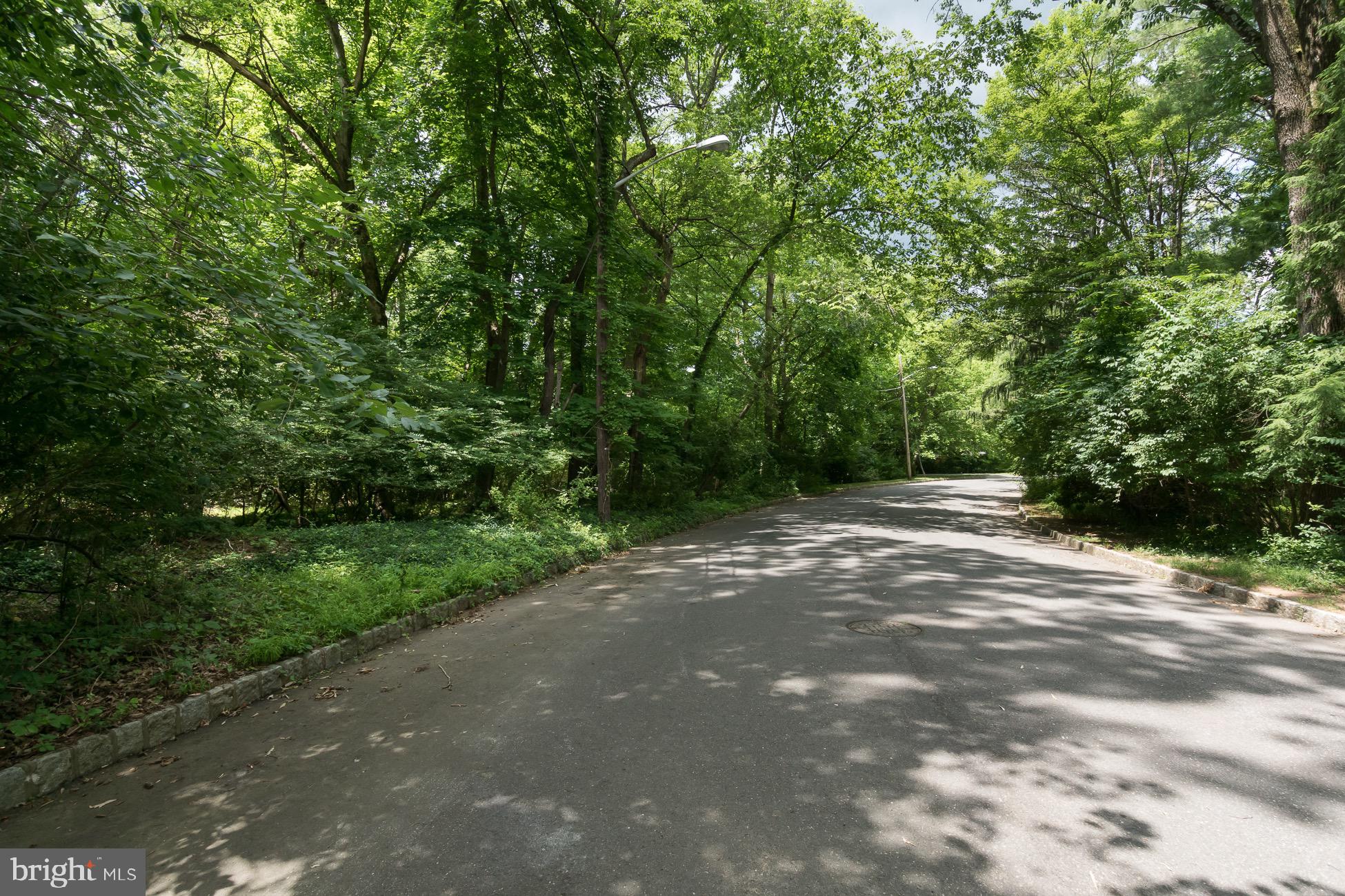 156 Wilson Road Princeton, NJ 08540 - Photo 1 of 8 a view of a yard with plants and trees