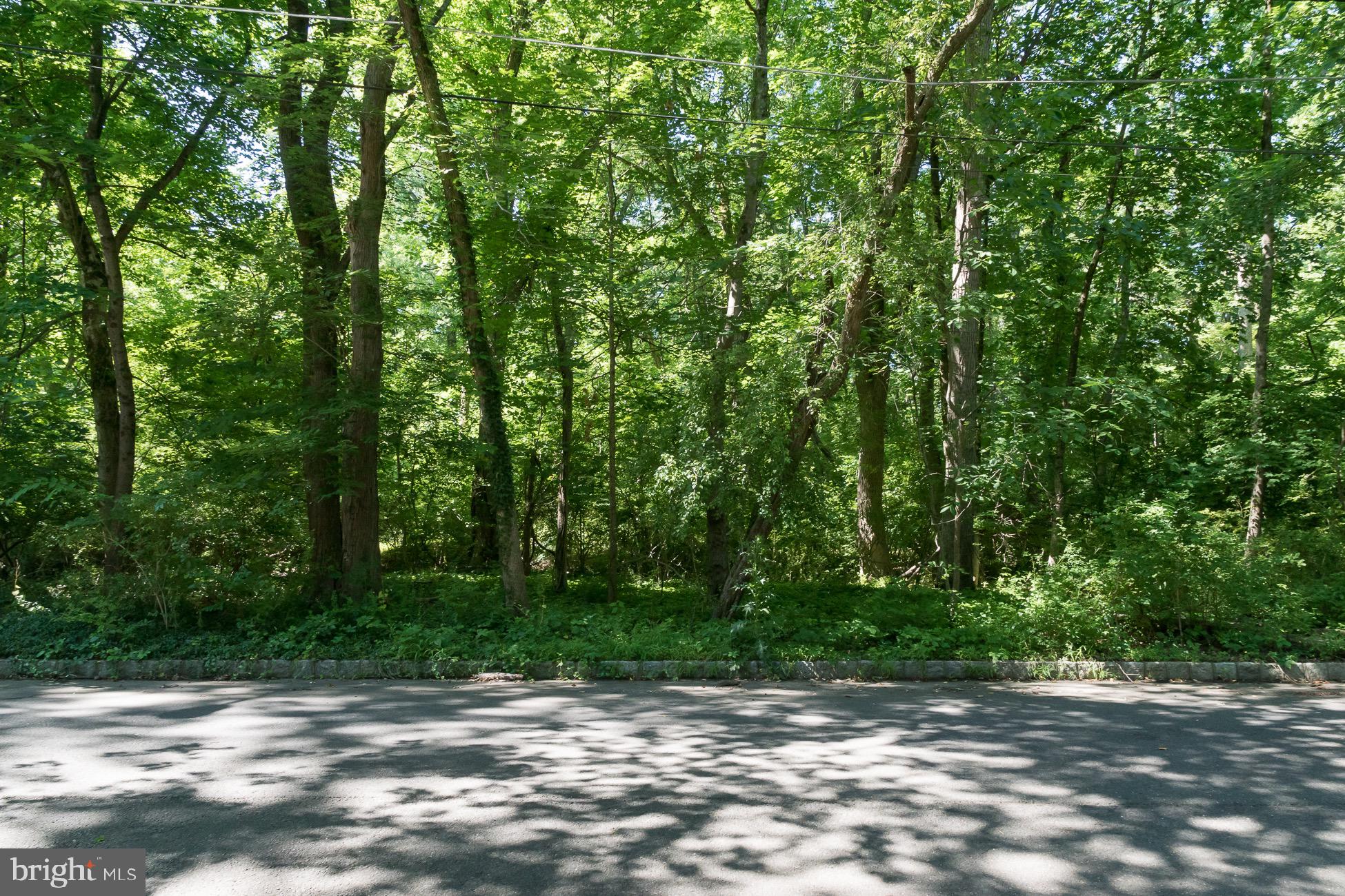 156 Wilson Road Princeton, NJ 08540 - Photo 6 of 8 a view of a yard with plants and trees
