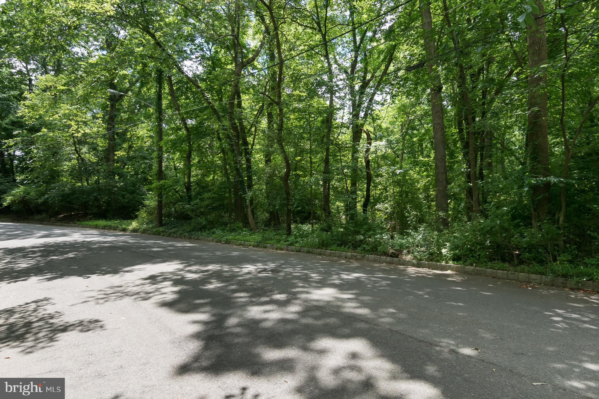156 Wilson Road Princeton, NJ 08540 - Photo 7 of 8 a view of outdoor space with trees