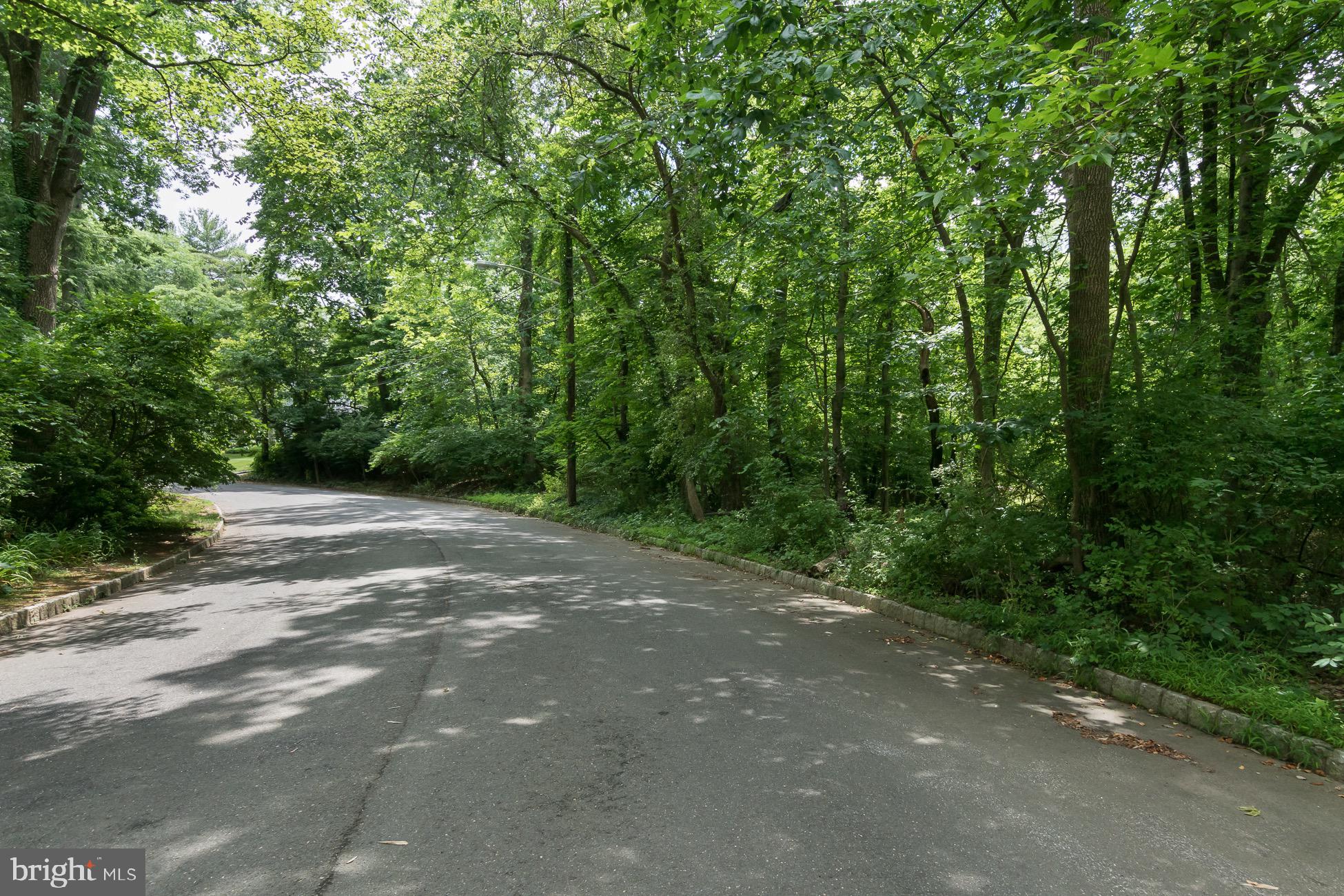 156 Wilson Road Princeton, NJ 08540 - Photo 8 of 8 a view of a road with trees in the background