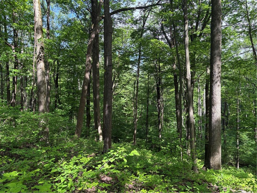 Lot 1 Cottonwood Road Acme, PA 15610 - Photo 4 of 25