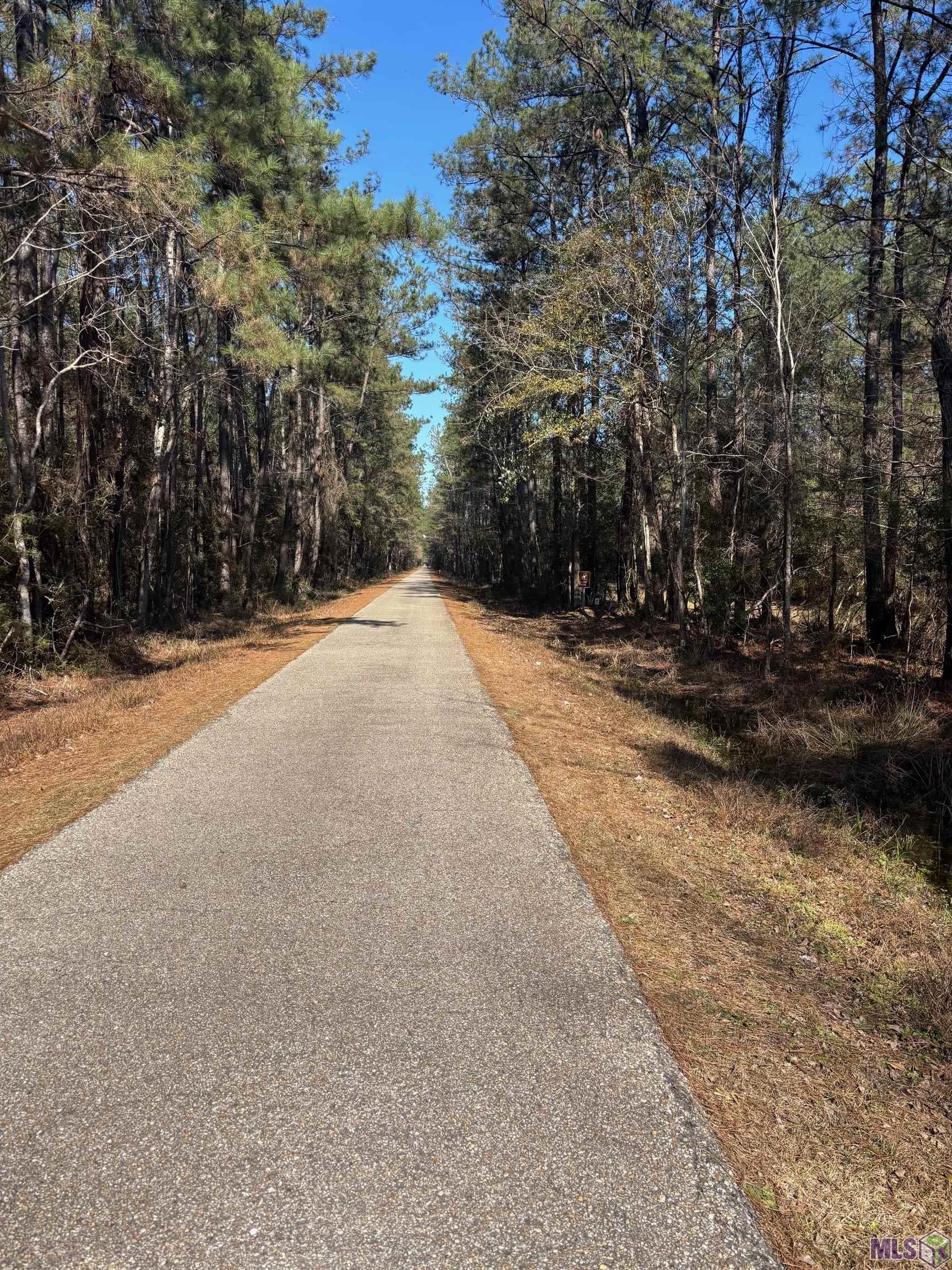 33-35 Labarre Mandeville, LA 70448 - Photo 2 of 5 Trace in front of Property