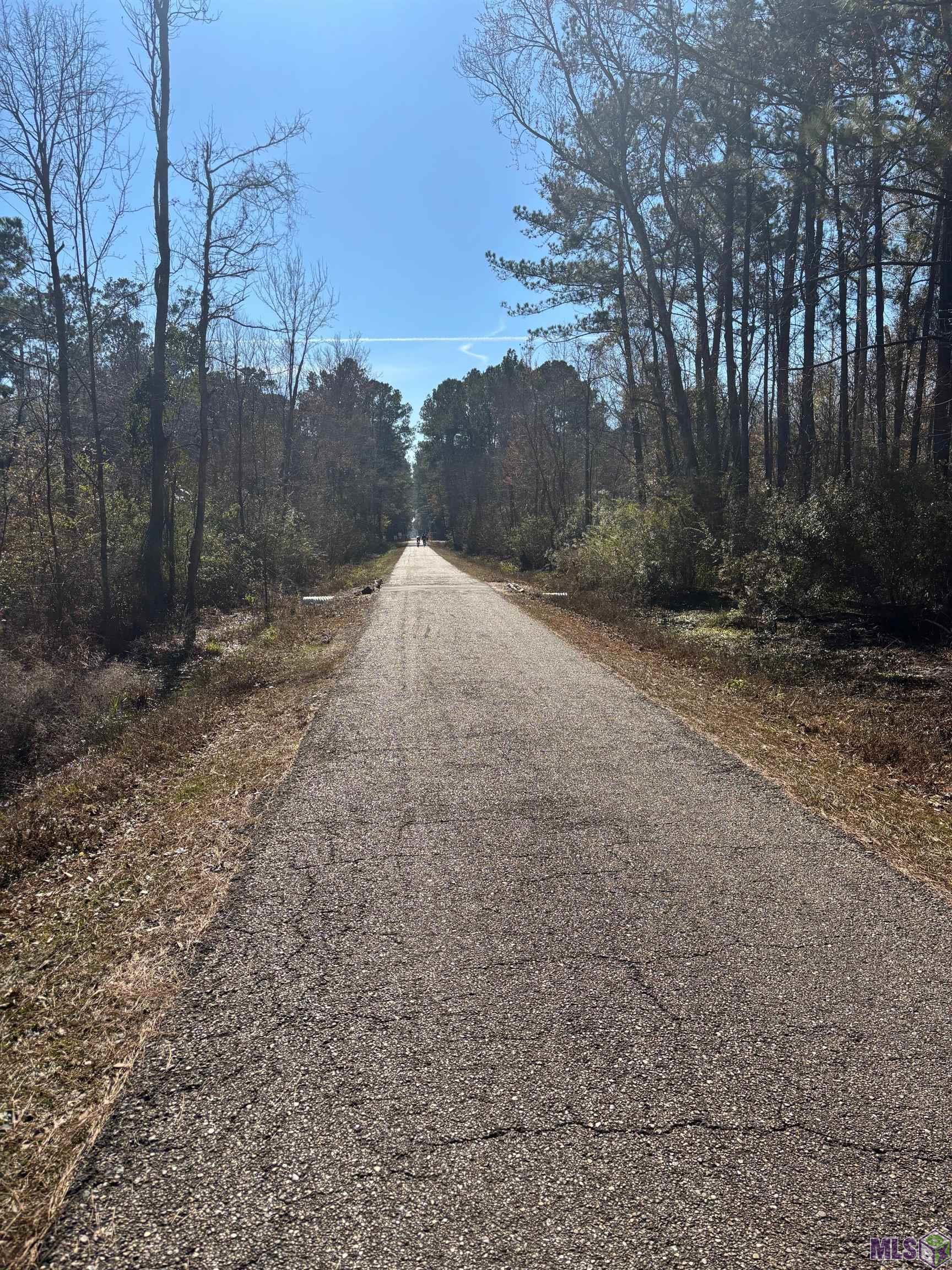 33-35 Labarre Mandeville, LA 70448 - Photo 5 of 5 Trace in front of the property