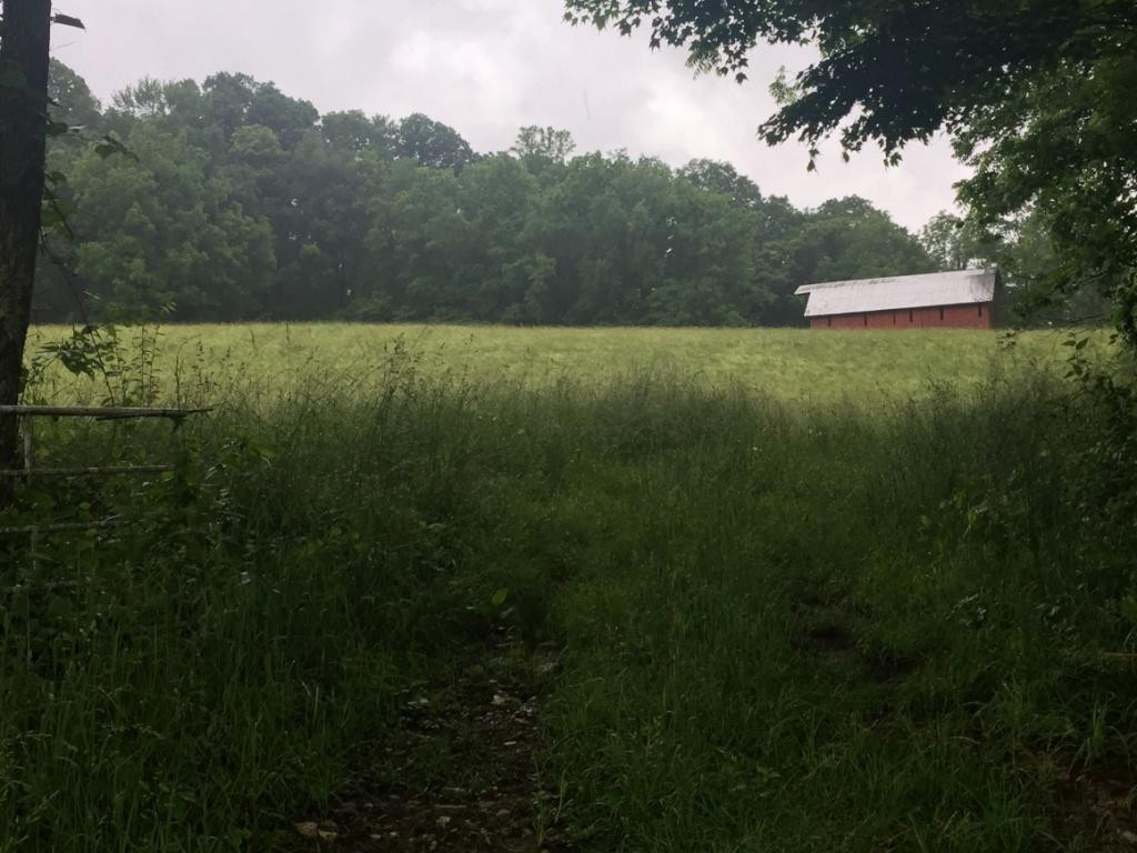 0 Marion Branch Road Elizabethton, TN 37643 - Photo 1 of 10 Photo 1