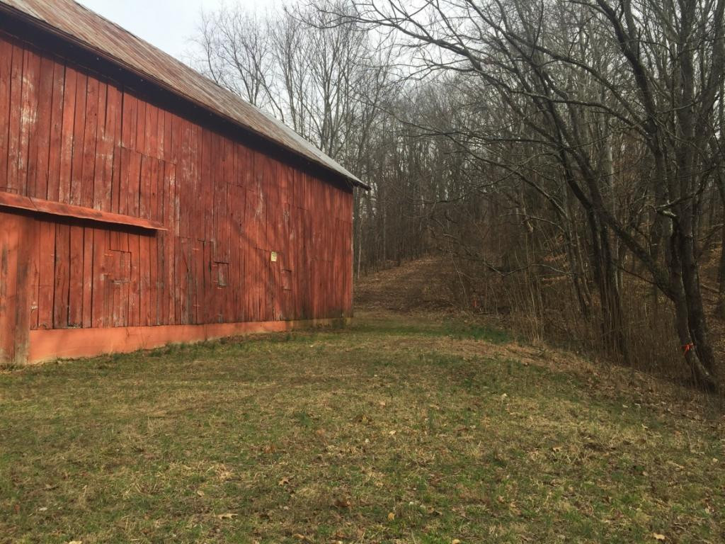 0 Marion Branch Road Elizabethton, TN 37643 - Photo 3 of 10 Photo 3