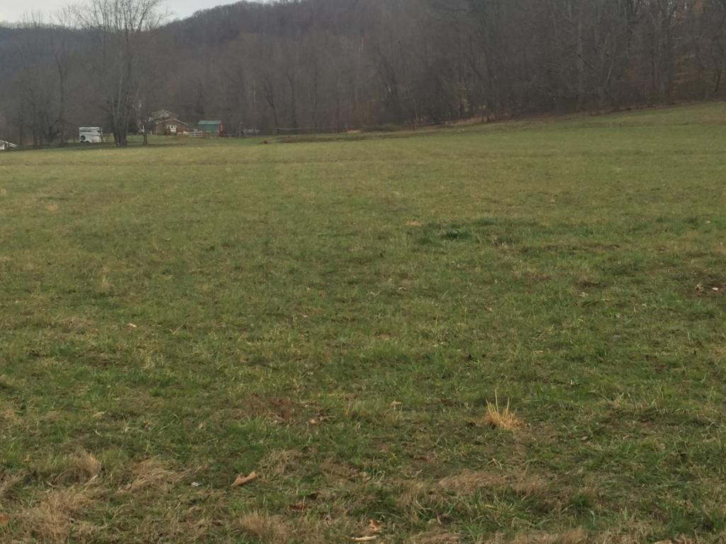 0 Marion Branch Road Elizabethton, TN 37643 - Photo 6 of 10 Photo 6