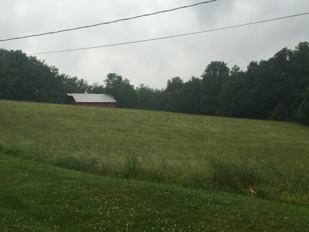 0 Marion Branch Road Elizabethton, TN 37643 - Photo 7 of 10 Photo 7