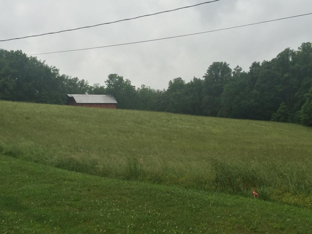 0 Marion Branch Road Elizabethton, TN 37643 - Photo 8 of 10 Photo 8