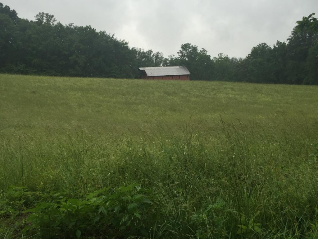 0 Marion Branch Road Elizabethton, TN 37643 - Photo 9 of 10 Photo 9