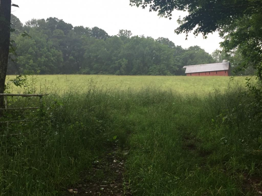 0 Marion Branch Road Elizabethton, TN 37643 - Photo 10 of 10 Photo 10