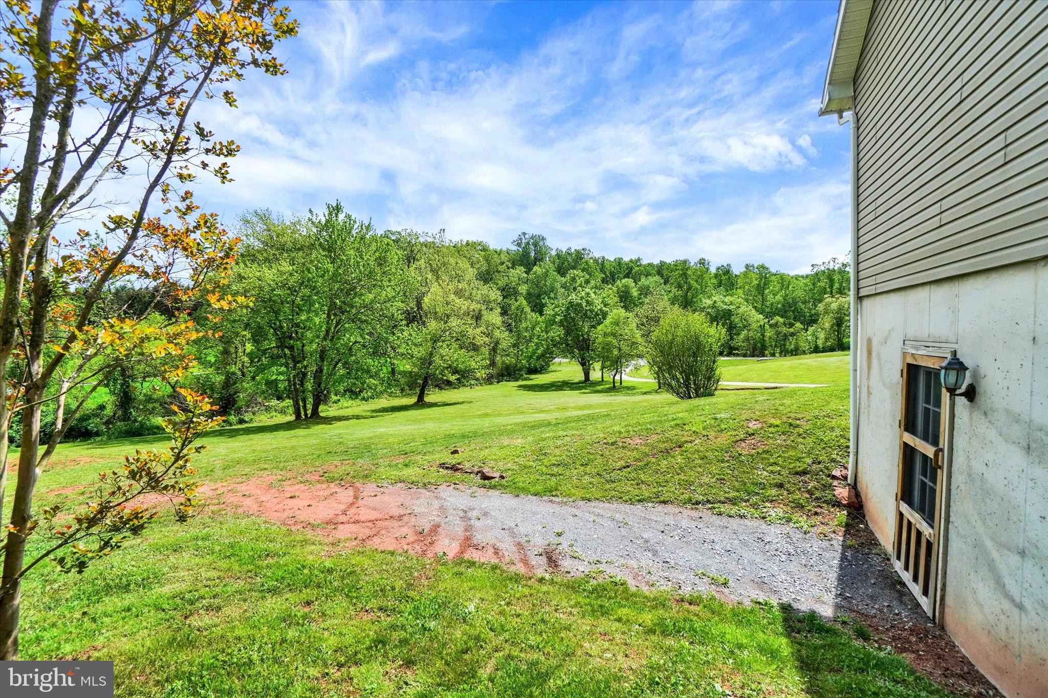 1055 Copenhaffer Road York, PA 17404 - Photo 35 of 38 a view of a backyard with large trees