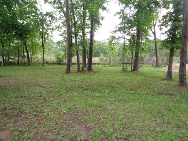 15120 Capitol Hill Road Montgomery, TX 77316 - Photo 17 of 17 a view of a green field with trees