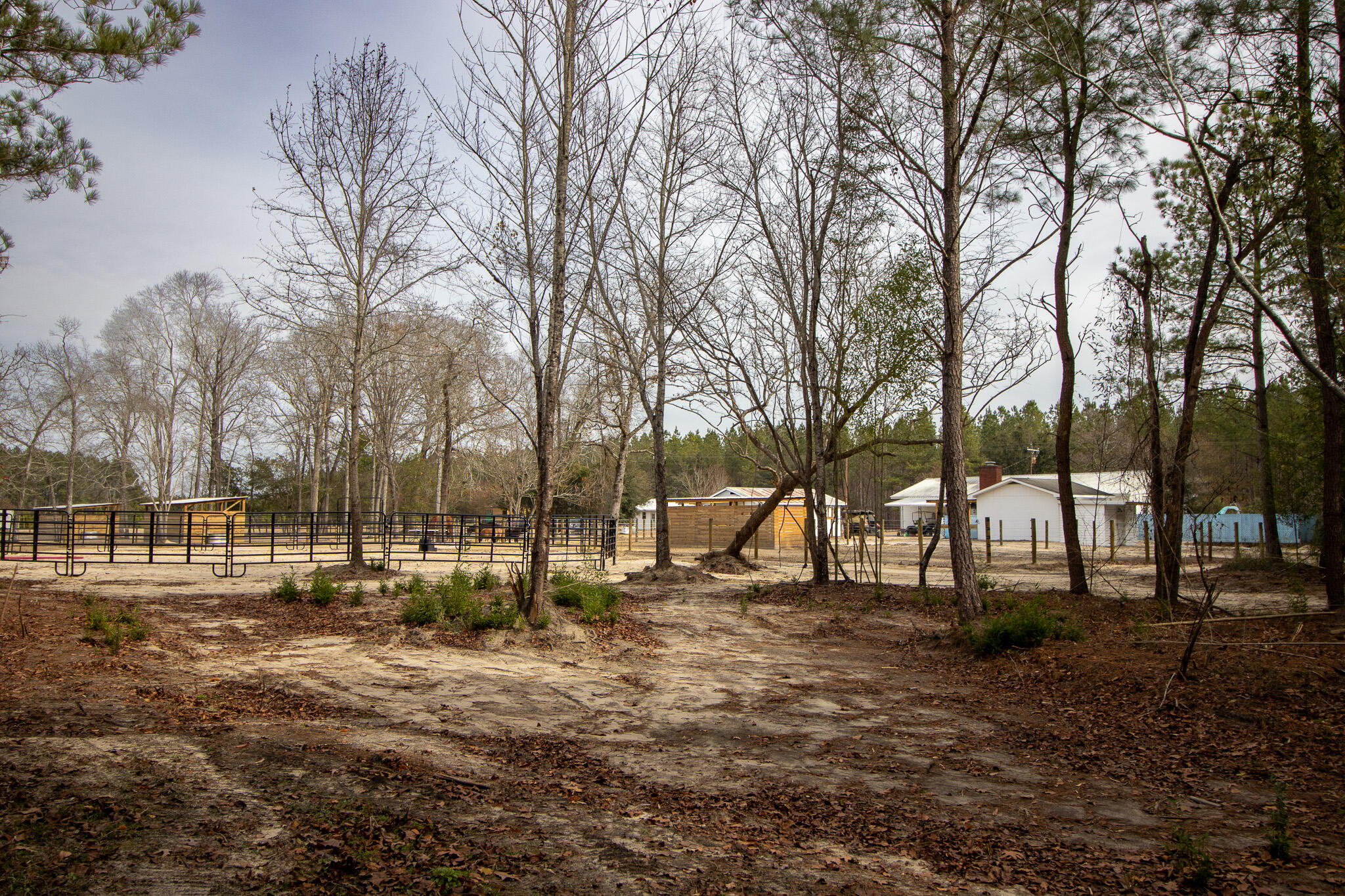 142 Hopewell Road North, SC 29112 - Photo 36 of 112