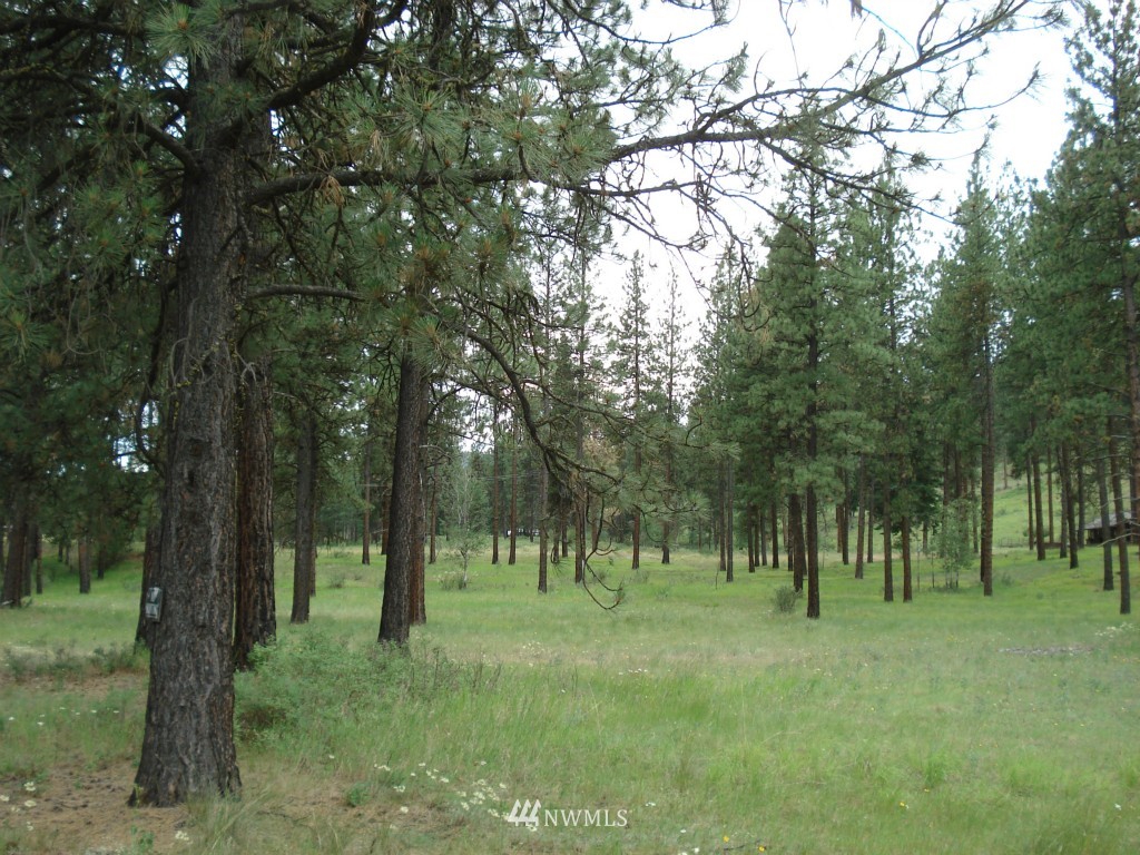 2 West Curlew Lake Road Republic, WA 99166 - Photo 2 of 9