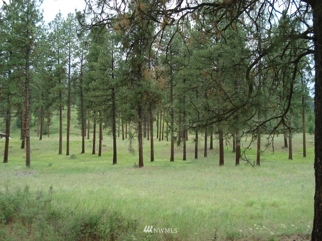 2 West Curlew Lake Road Republic, WA 99166 - Photo 3 of 9
