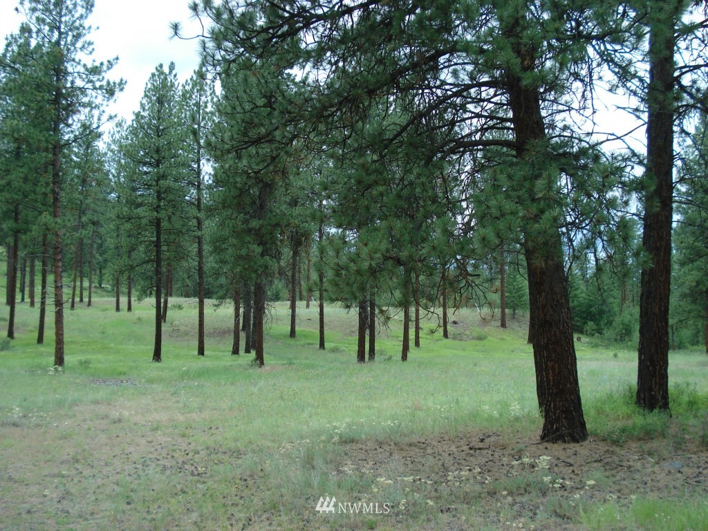 2 West Curlew Lake Road Republic, WA 99166 - Photo 4 of 9
