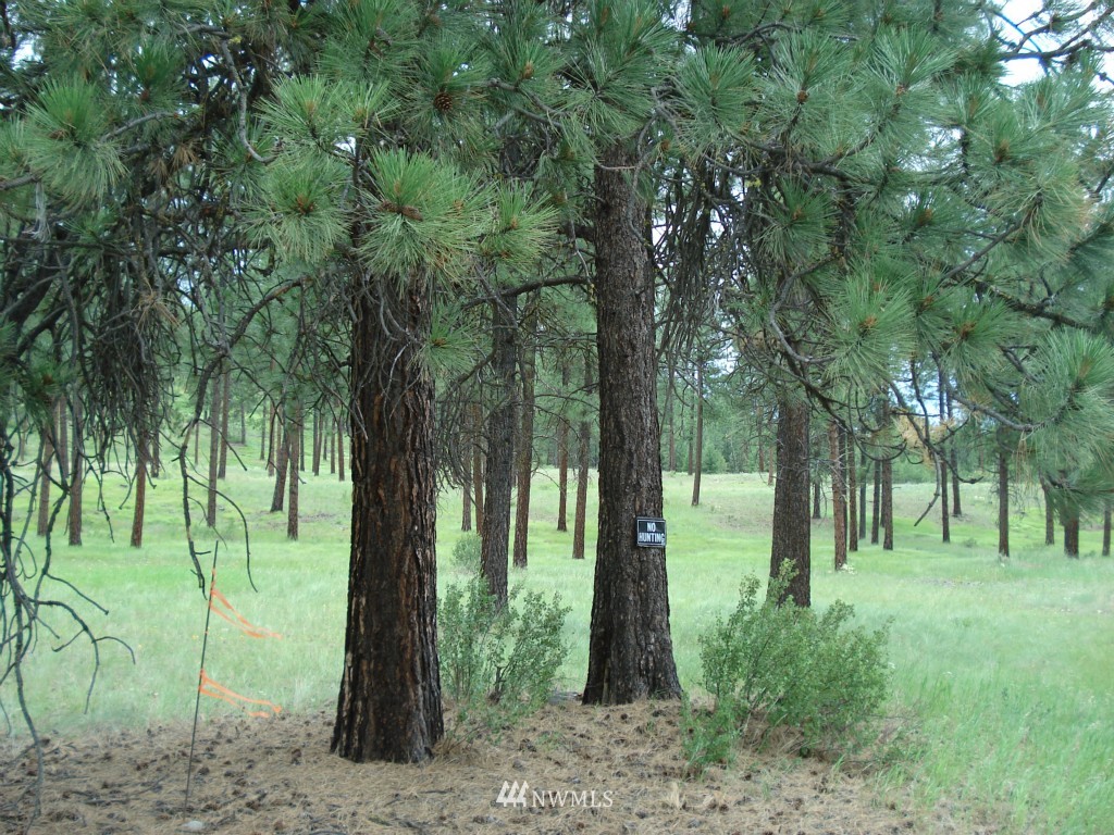 2 West Curlew Lake Road Republic, WA 99166 - Photo 6 of 9