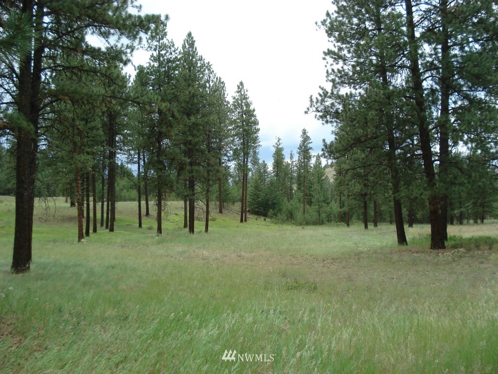 2 West Curlew Lake Road Republic, WA 99166 - Photo 7 of 9