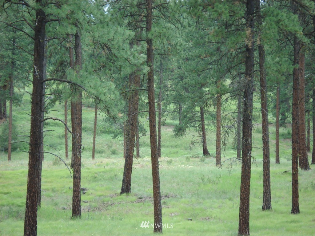 2 West Curlew Lake Road Republic, WA 99166 - Photo 8 of 9