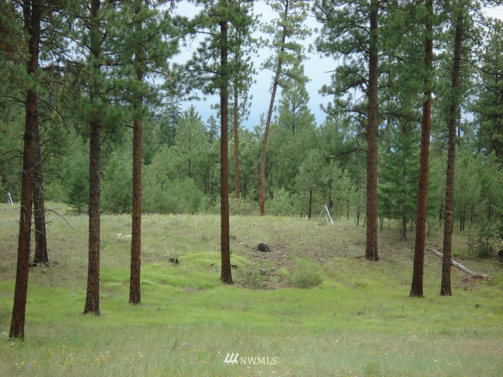 2 West Curlew Lake Road Republic, WA 99166 - Photo 9 of 9